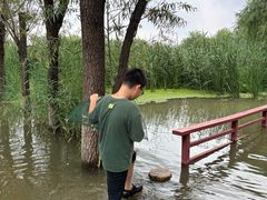 -绿堤公园