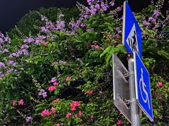 -淡村菜市场