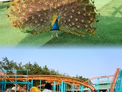 -盈香心动乐园
