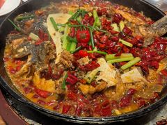 -老板恋上鱼(恒隆广场店)