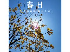 -广州白江湖森林公园