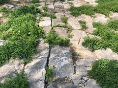 -洪泽湖古堰景区