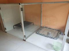 -宠物寄养训练学校