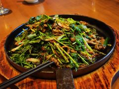 铁板香菜羊肉-hallch好吃餐厅(奥体中心店)