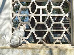 -西园戒幢律寺