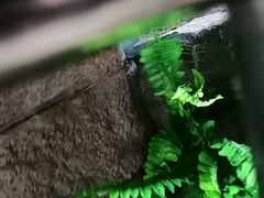 -泉州海丝野生动物世界