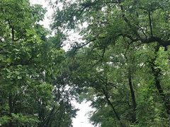 -棒棰岛宾馆景区