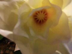 -湘邻呷铺·田园家宴(汉基广场店)