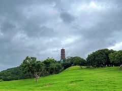 -红花山公园