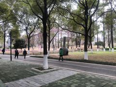-堤角公园