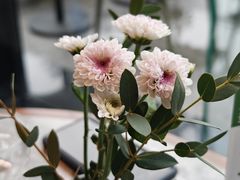 -gaga(北京新中关购物中心店)