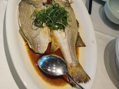 -顺德公猪肚鸡·煲仔饭(白石洲店)