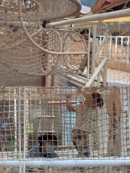 -PIPIKINGDOM皮皮王国欢乐号(欢乐海岸购物中心店)