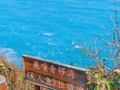 -鹿嘴山庄