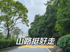 -火炉山森林公园