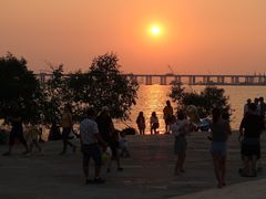 -宝安西湾红树林湿地公园