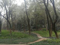 -石峰公园
