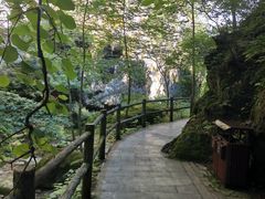 -牛背梁国家森林公园