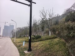 -星巴克(杭州桐庐利时广场店)