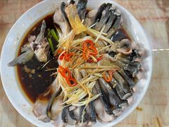 -煲来饱去冷水鱼