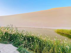 -青藏高原野生动物园