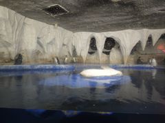 -太平洋海底世界