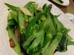 -金燕岛潮州酒楼