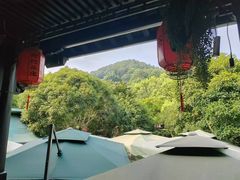-阿巧茶庄