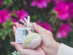 -玩具反斗城(海港城店)