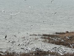 -苏州吴中太湖旅游区