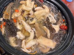 -蘑统田下·野生菌火锅