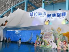-泉城欧乐堡海洋极地世界