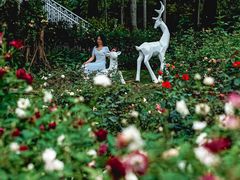 -人民公园(罗湖区)