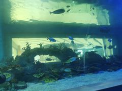 -常州海昌海洋探索馆