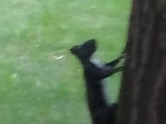 -长春公园(普阳街道)