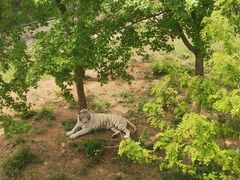 -石家庄市动物园