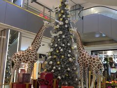 店内环境-远洋未来广场(育慧北路店)