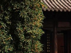 -钱王祠