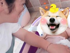 -爱月宝月嫂·育儿嫂