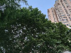 -华山儿童公园