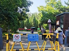 -大兴滨河森林公园