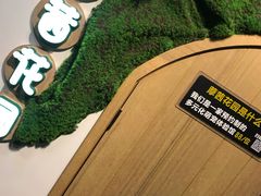 -藦茜花园宠物主题亲子互动体验馆(国顺东路店)