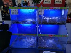 水产区-祥鹤龙虾螃蟹