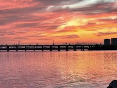 -宝安西湾红树林湿地公园