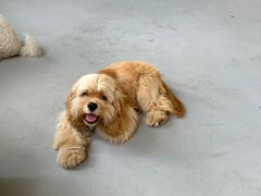 -美家乐农庄·露营·团建(大治路店)