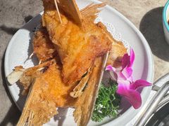 -淘米捞·米汤脆鲩鱼火锅(福田皇岗店)