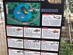 -酷鱼垂钓CLUB(朝阳区博大路店 )