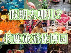 -长鹿旅游休博园