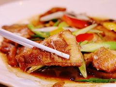 -北京东三环希尔顿逸林酒店