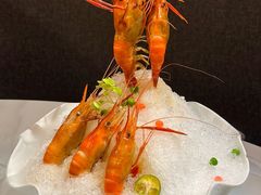 -荟廷·晶萃(陆家嘴尚悦湾店)